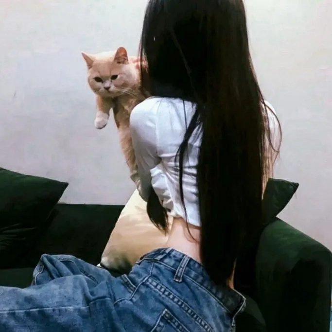 中华熊猫